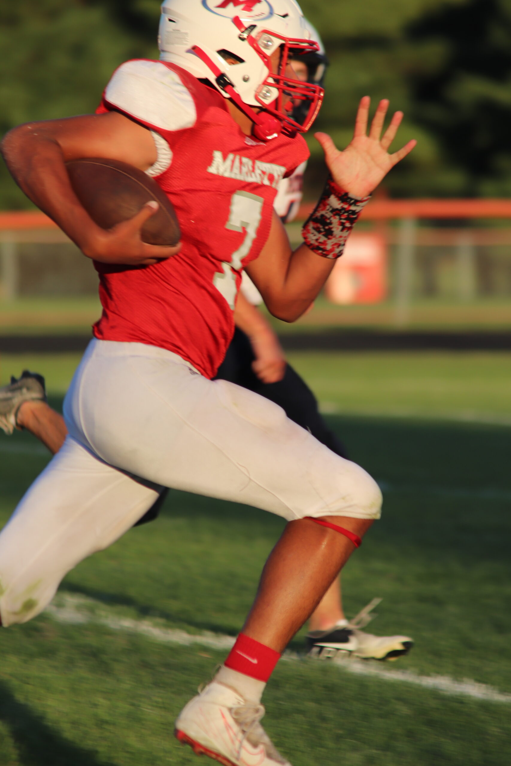 Marlette Tribune Recorder Leader