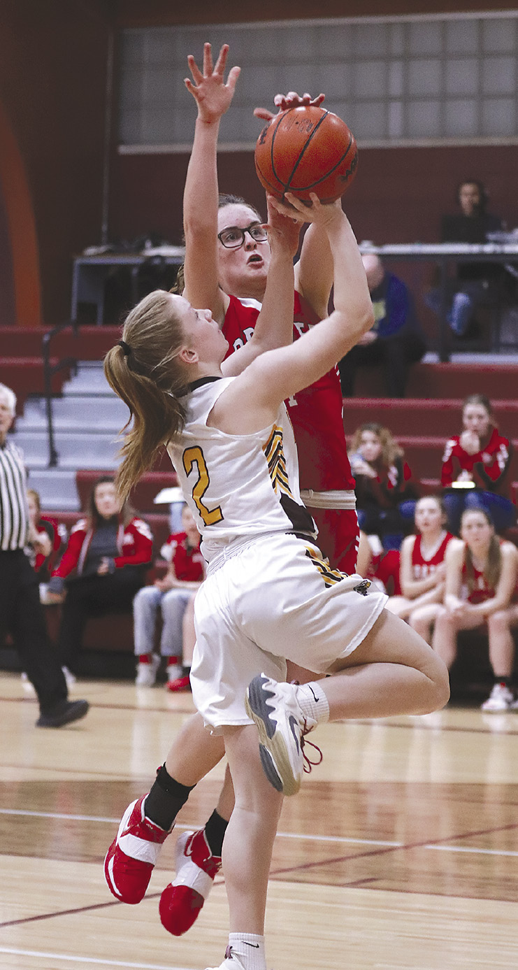 Deckerville Page 13 Tribune Recorder Leader